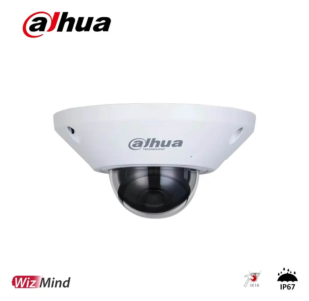 Dahua IPC-EB5541-AS 5 MP Sesli Panoramik Kamera