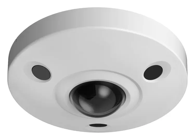 Dahua IPC-EBW81200 12 MP Panoramik Kamera
