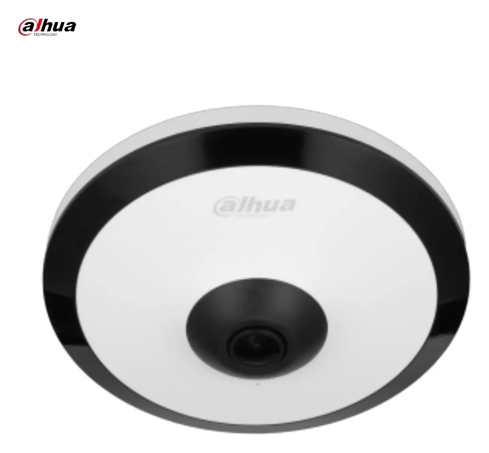 Dahua IPC-EW5541-AS 5 MP WizMind Sesli Panoramik Kamera