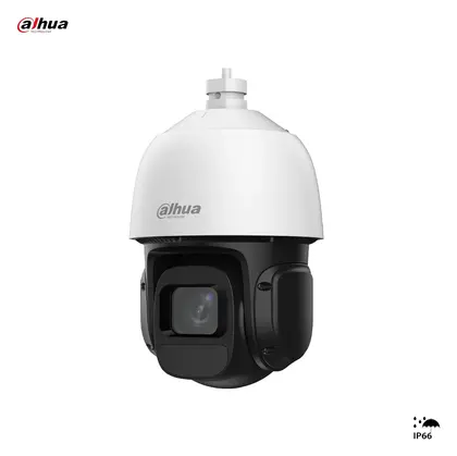 Dahua SD3D216NB-GNY 2 MP WizSense IP PTZ Kamera