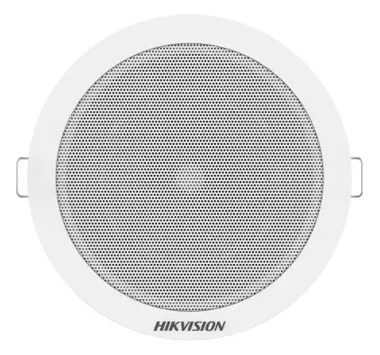 Hikvision DS-QAE0203G1-V Hoparlör