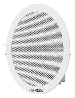 Hikvision DS-QAE0206G1-V Hoparlör — görsel 3