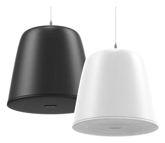 Hikvision DS-QAZ1530G1-BE IP Hoparlör