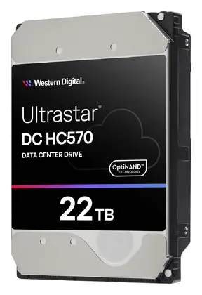 WD Ultrastar DC HC570 22TB 3.5" SAS Kurumsal Disk (0F48052)