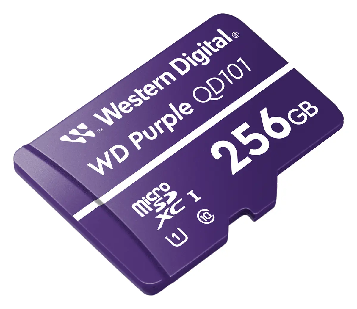 WD Purple QD101 256GB microSD Hafıza Kartı (WDD256G1P0C) — görsel 2