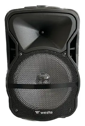 Westa WAP-1053E 150W 10" Taşınabilir Ses Sistemi