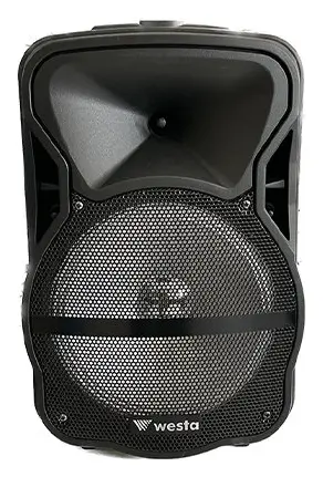 Westa WAP-1053E 150W 10" Taşınabilir Ses Sistemi