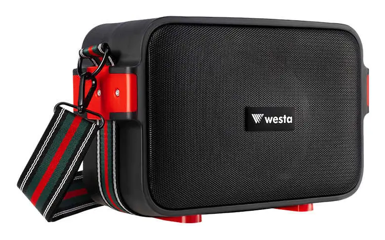Westa WAP-500H 40W 2" Taşınabilir Ses Sistemi — görsel 2