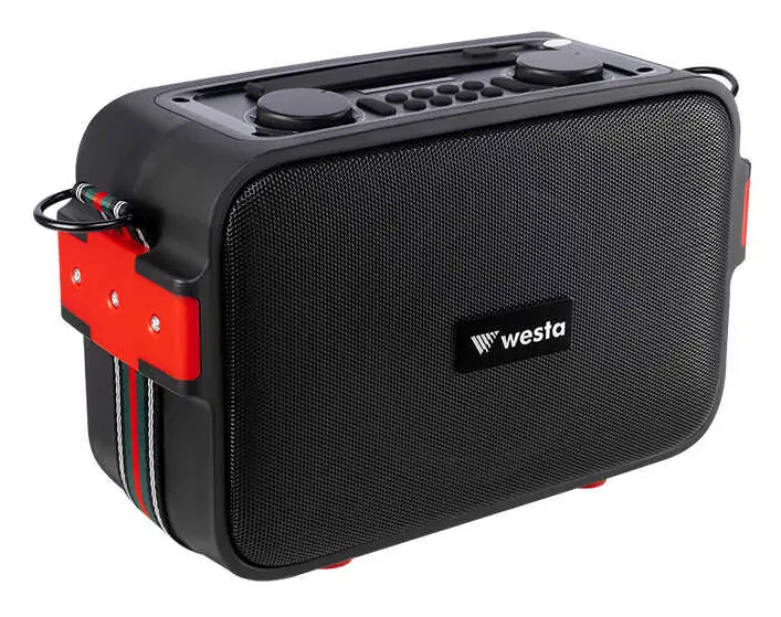 Westa WAP-500H 40W 2" Taşınabilir Ses Sistemi — görsel 3