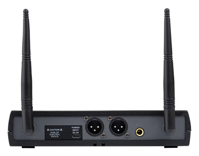 Westa WM-202H Kablosuz Mikrofon Seti — görsel 5