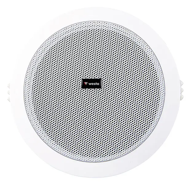 Westa WS-1013T 5.25" 100V Tavan Hoparlörü