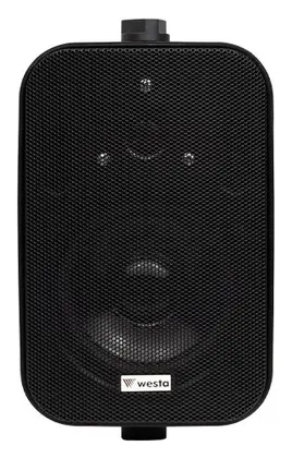 Westa WS-402TB 4" 100V Siyah Kolon Hoparlör