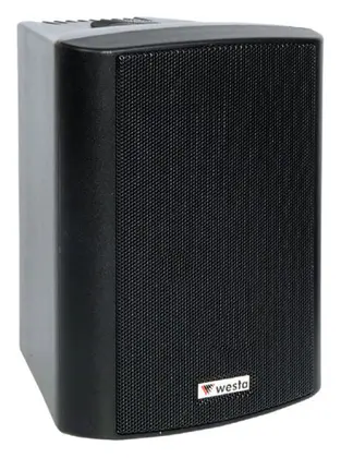 Westa WS-5TB 125W 5.25" 100V IP65 Siyah Pasif Hoparlör