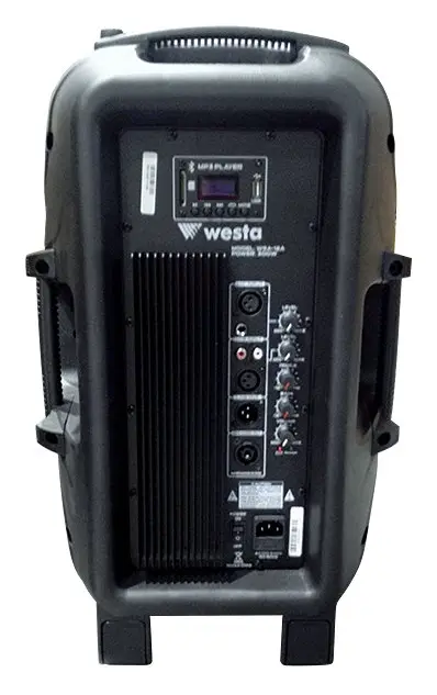 Westa WSA-12A 300W 12" Aktif Hoparlör — görsel 2