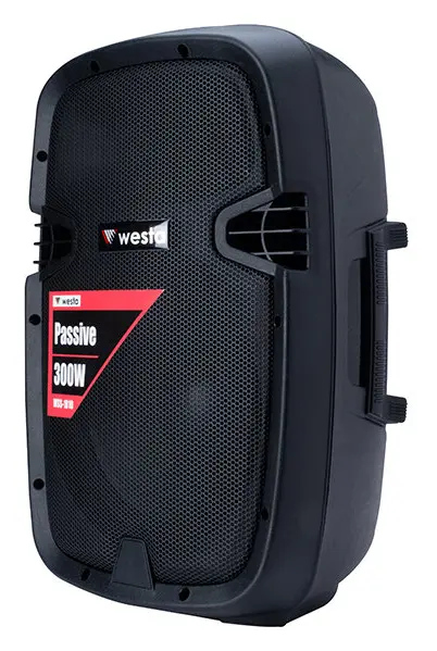 Westa WSS-1010 300W 10" Pasif Hoparlör — görsel 2