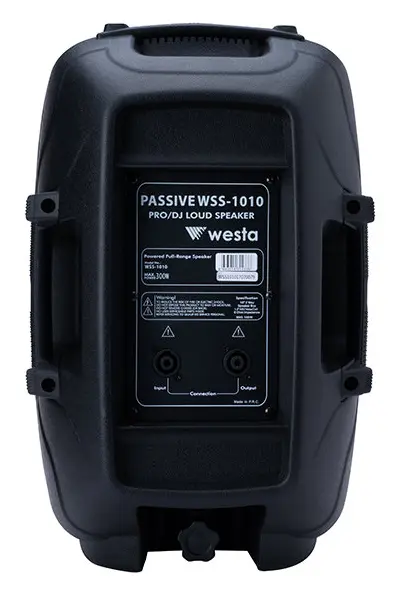 Westa WSS-1010 300W 10" Pasif Hoparlör — görsel 4