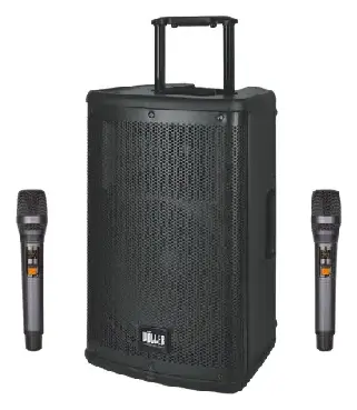 Woller W-1230DSP Taşınabilir Ses Sistemi