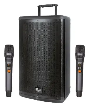 Woller W-1540DSP Taşınabilir Ses Sistemi