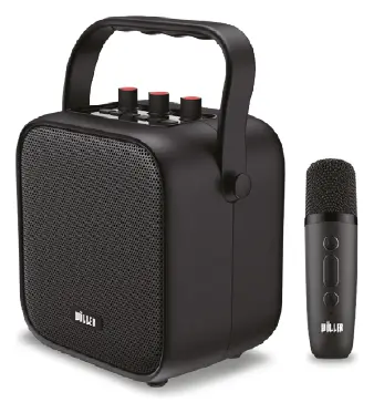 Woller W-505E 50W Taşınabilir Ses Sistemi — görsel 2