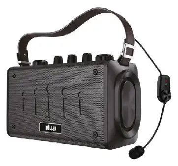 Woller W-600H 100W Taşınabilir Ses Sistemi