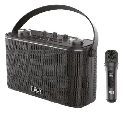 Woller W-612E 150W Taşınabilir Ses Sistemi