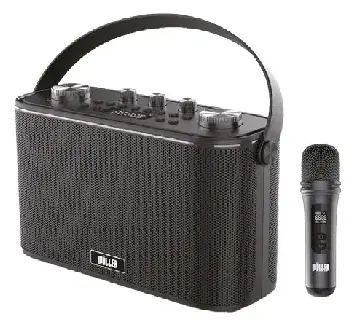 Woller W-612E 150W Taşınabilir Ses Sistemi