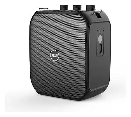 Woller W-700 150W Taşınabilir Ses Sistemi