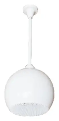 Woller WSS-645 30W 100V Tavan Hoparlörü